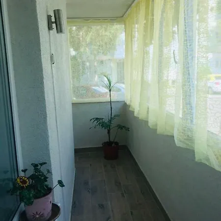 - Brown - Ultracentral Apartment Piatra Neamt